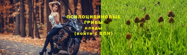 дживик Магадан
