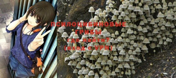 мет Магас